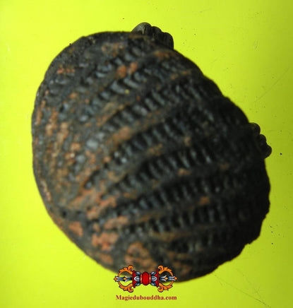 Amulette protectrice Thaï Bia Gae ancienne. La Magie du Bouddha.