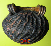 Amulette protectrice Thaï Bia Gae ancienne. La Magie du Bouddha.