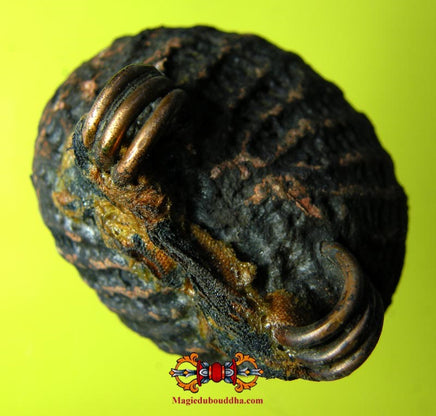 Amulette protectrice Thaï Bia Gae ancienne. La Magie du Bouddha.