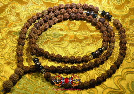 Chapelet de Shiva en graines sacrées Rudraksha. La Magie du Bouddha.