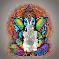 Amulettes népalaises en cristal du dieu éléphant Ganesh. La Magie du Bouddha.