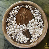 Perles reliques sacrées en pot Benjarong avec médaille de Phra Siwali – Wat Phanang Choeng (Ayutthaya)