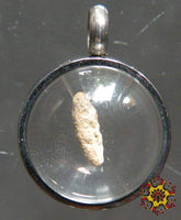 Relique de riz fossile Hin Khaosan - Riz du bol du Bouddha. La Magie du Bouddha.