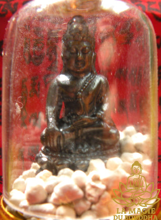 Bouddha Luang Phor Sothorn et vitrine Phra Kling Loh Dam (avec pierres reliques). La Magie du Bouddha.