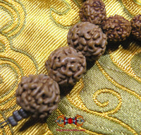 Chapelet de Shiva en graines sacrées Rudraksha. La Magie du Bouddha.