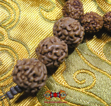 Chapelet de Shiva en graines sacrées Rudraksha. La Magie du Bouddha.