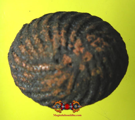 Amulette protectrice Thaï Bia Gae ancienne. La Magie du Bouddha.