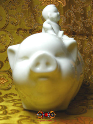 Tirelire chinoise cochon ancienne. La Magie du Bouddha.