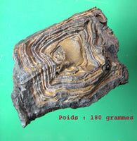 Pierres sacrées Tsésites - Ecritures des Djinns. La Magie du Bouddha.