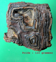 Pierres sacrées Tsésites - Ecritures des Djinns. La Magie du Bouddha.