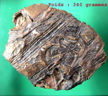 Pierres sacrées Tsésites - Ecritures des Djinns. La Magie du Bouddha.