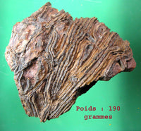 Pierres sacrées Tsésites - Ecritures des Djinns. La Magie du Bouddha.