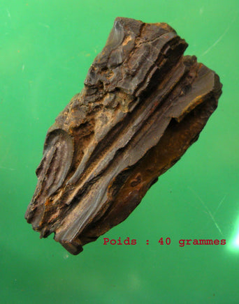 Pierres sacrées Tsésites - Ecritures des Djinns. La Magie du Bouddha.