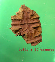 Pierres sacrées Tsésites - Ecritures des Djinns. La Magie du Bouddha.
