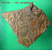 Pierres sacrées Tsésites - Ecritures des Djinns. La Magie du Bouddha.