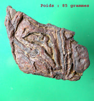 Pierres sacrées Tsésites - Ecritures des Djinns. La Magie du Bouddha.