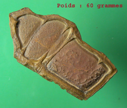 Pierres sacrées Tsésites - Ecritures des Djinns. La Magie du Bouddha.