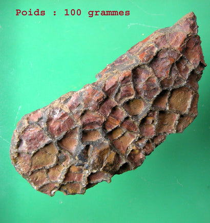 Pierres sacrées Tsésites - Ecritures des Djinns. La Magie du Bouddha.