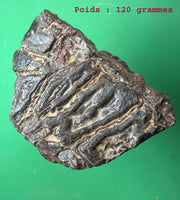 Pierres sacrées Tsésites - Ecritures des Djinns. La Magie du Bouddha.