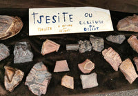 Pierres sacrées Tsésites - Ecritures des Djinns. La Magie du Bouddha.