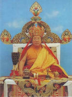 Pilules Tibétaines de nectar Tendu Rilbu par Sa Sainteté Pénor Rinpoché. La Magie du Bouddha.