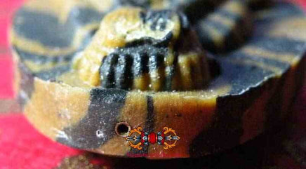 Amulette Thai protectrice Phra Pidta Mahalap Pisek du Très Vénérable LP Pae. La Magie du Bouddha.