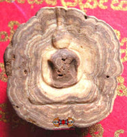 Bouddha sculpté en pierre-relique Phra Siwali magiedubouddha