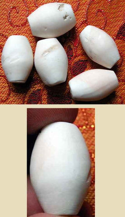 Perles Tibétaines en conque fossile "du pays des Nâgas". magiedubouddha