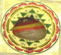 Belles graines de bétel sacrées Vighnaharta Supari de Ganesh. La Magie du Bouddha.