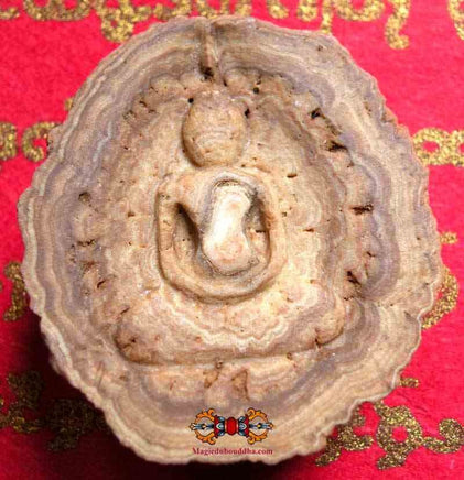 Bouddha sculpté en pierre-relique Phra Siwali magiedubouddha
