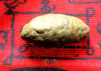 Fossile sacré Thaï Hin Dakder Mahaniyom - Rituel magique bénédiction parfum. La Magie du Bouddha.