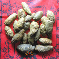 Fossile sacré Thaï Hin Dakder Mahaniyom - Rituel magique bénédiction parfum. La Magie du Bouddha.