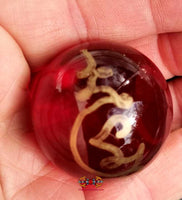 Boule de cristal de méditation Look Geow Samadhi - Vénérable Ajarn Deng. La Magie du Bouddha.