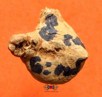 Amulettes Thaï de fortune en bois sacré Met Kanoon - Très Vénérable LP Kui. La Magie du Bouddha.
