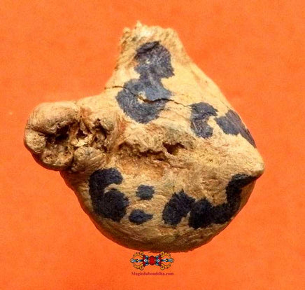 Amulettes Thaï de fortune en bois sacré Met Kanoon - Très Vénérable LP Kui. La Magie du Bouddha.