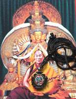 Pendentif protecteur de Tara verte (avec Rilbu) - Sa Sainteté le Dalai-Lama. La Magie du Bouddha.
