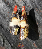 Amulette thai salika par luang phor koon.