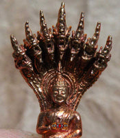Amulette Thai du Bouddha Phra Naphok - Wat Pochai / Wat Pantha Wicha. La Magie du Bouddha.