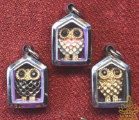 Amulettes hiboux sacrés Nok Hou - Vénérable Phra Ajarn Song La Magie du Bouddha.