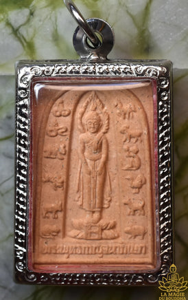 Amulette Phra Puttha Ekanaparat – Wat Pa Siri Watana Wisuth (Nakhon Sawan) La Magie du Bouddha.
