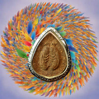 Amulette Dtaur en pâte de plantes – Luang Phor Jeud (Suan Patibatham Pothiséti, Nakhon Pathom) La Magie du Bouddha.
