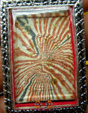 Amulette Thaï multicolore du Bouddha LP Sothorn - Wat Luang Phor Sothorn.