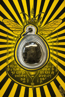 🐝 Bille sacrée Dtaur (frelon sacré géant) – Luang Phor Jeud Nimalo – Wat Pothi Séthi (Ayutthaya)