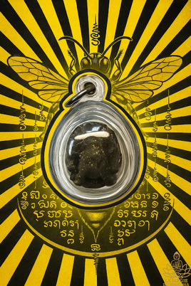 🐝 Bille sacrée Dtaur (frelon sacré géant) – Luang Phor Jeud Nimalo – Wat Pothi Séthi (Ayutthaya)