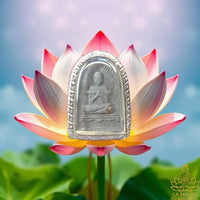 Amulette de Luang Phor Toh (Roon Phra Shina Ariya) - Vénérable Luang Phor Kling du Wat Na Si Thong La Magie du Bouddha.