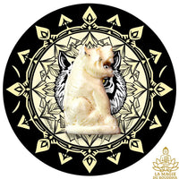 Amulette Tigre Blanc - Très Vénérable Luang Phor Pian du Wat Krian Katin La Magie du Bouddha.