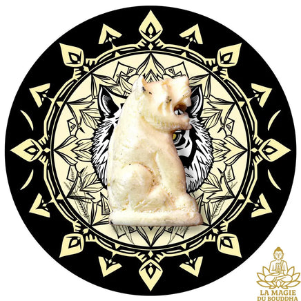 Amulette Tigre Blanc - Très Vénérable Luang Phor Pian du Wat Krian Katin La Magie du Bouddha.