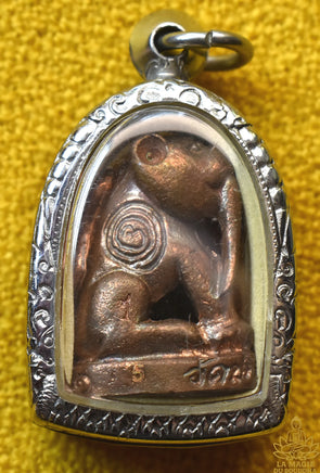 Amulette Tigre Mystique bénie au Wat Paliwat - Très Vénérable Luang Phor Somchai La Magie du Bouddha.