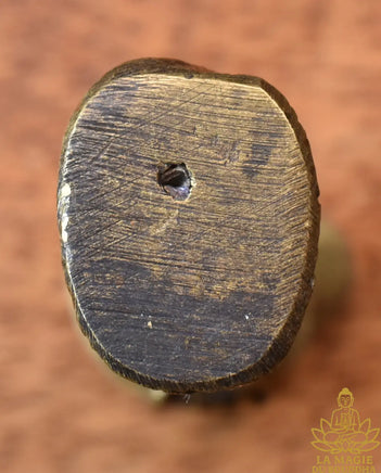 Amulette Tigre Sacré de Luang Phor Chob – Wat Khao Ran Seuar La Magie du Bouddha.