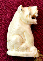 Amulette Tigre Blanc - Très Vénérable Luang Phor Pian du Wat Krian Katin La Magie du Bouddha.